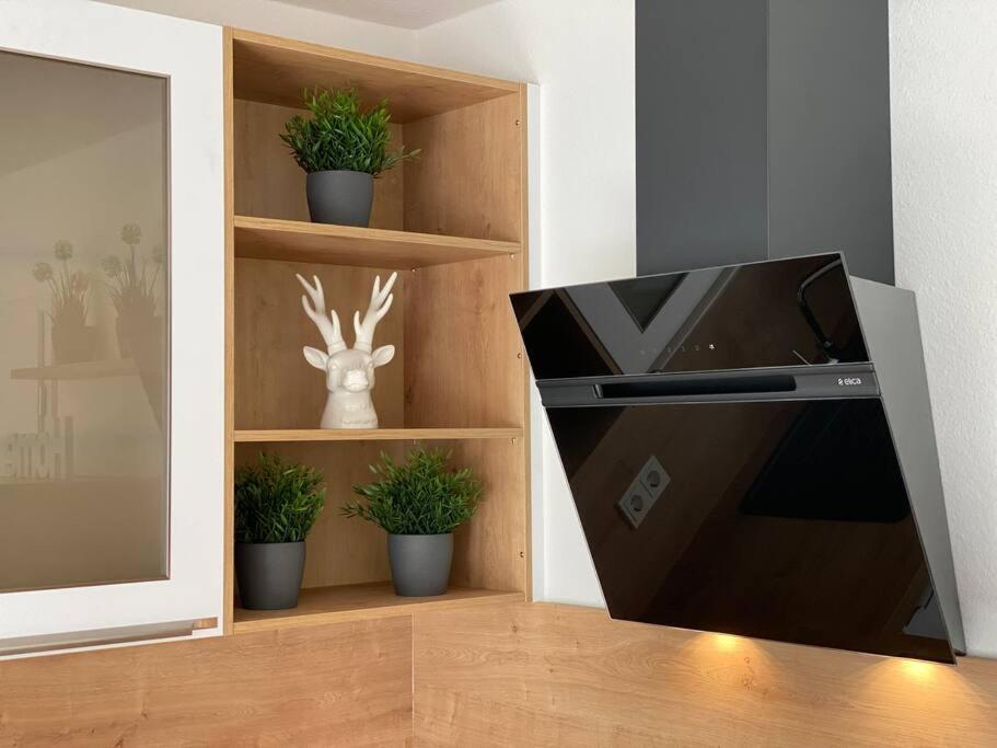 Acapella Suite Adagio 54qm, direkt am Weinberg, Altstadt, Netflix inklusive Heppenheim  Exterior foto