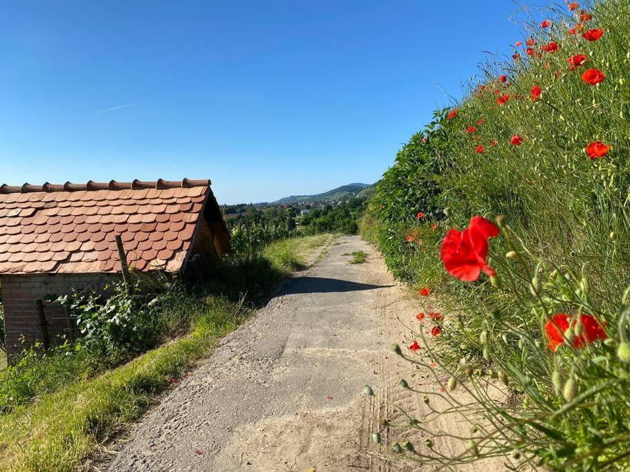 Acapella Suite Adagio 54qm, direkt am Weinberg, Altstadt, Netflix inklusive Heppenheim  Exterior foto